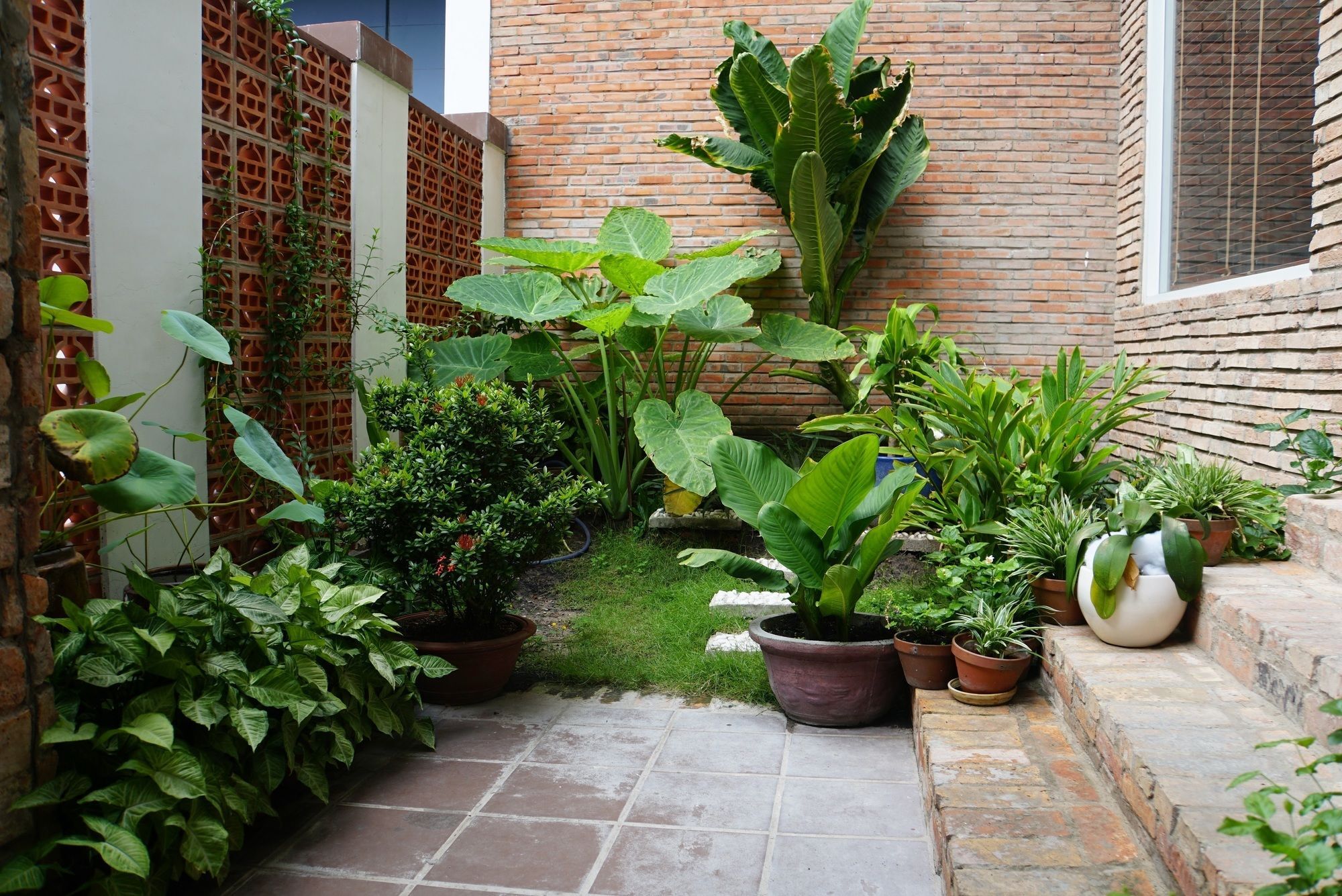 Ananas Family Hotel Ho Chi Minh-staden Exteriör bild